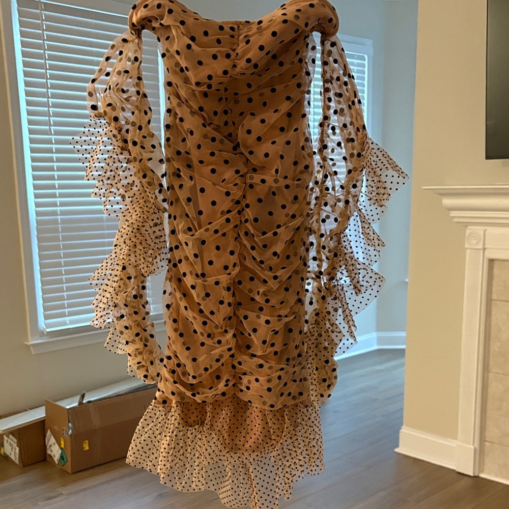 Polka Dot Ruffle Dress - Picture 2 of 3